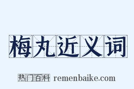 梅丸近义词是什么意思的图片